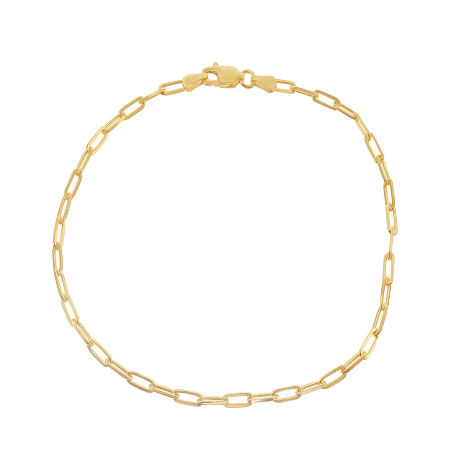 Paperclip Chain Anklet